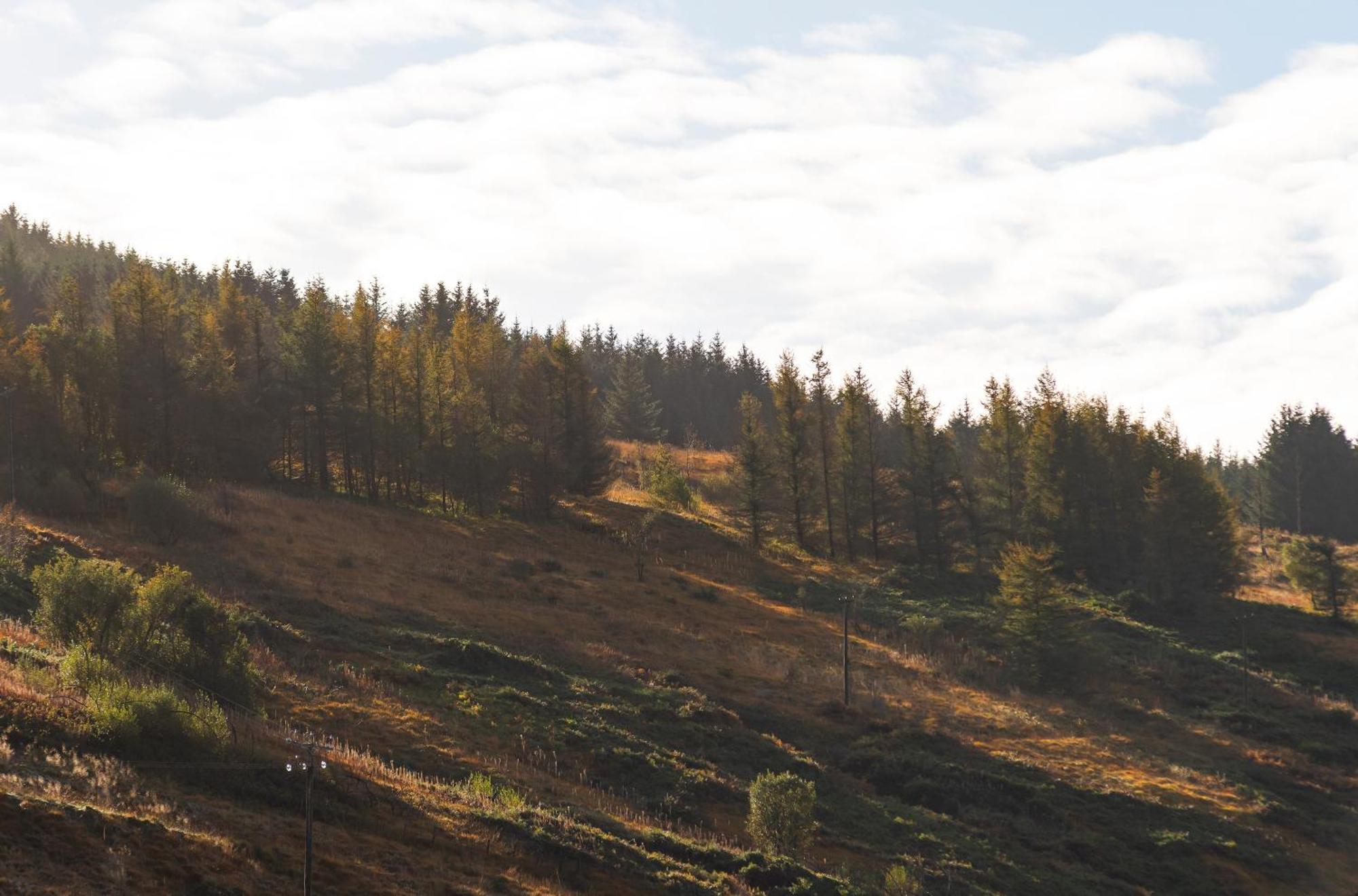 Riverside Great House In The Afan Forest Bike Park By Staystaycations Glyncorrwg エクステリア 写真